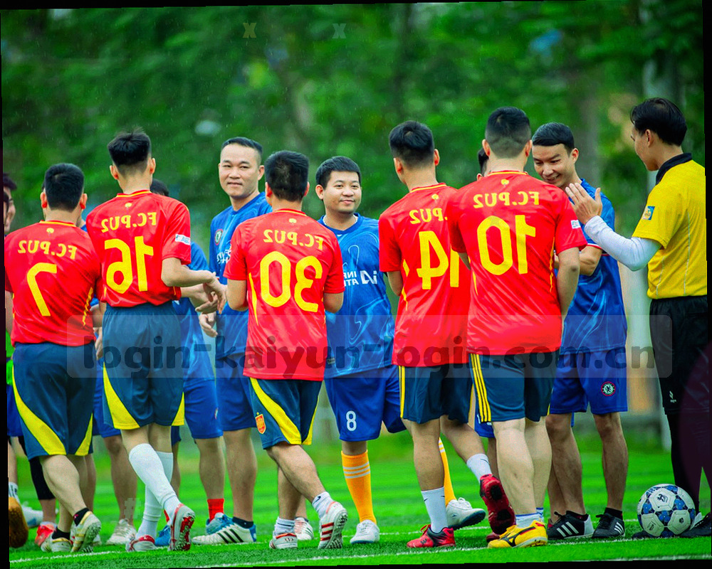 侧栏订阅面板状态示意，五个席位中有两个已订阅并带置顶标记